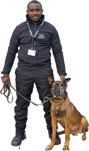 Maitre chien - agent cynophile - ILADIS SECURITE